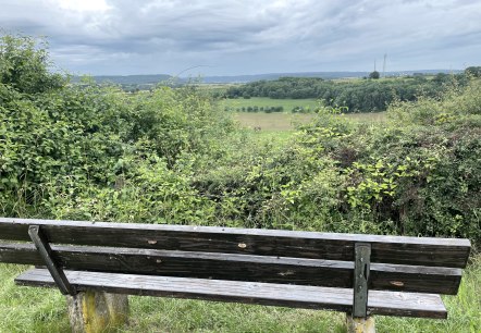 Holzbank mit Blick auf eine gr&uuml;ne Landschaft und bew&ouml;lkten Himmel. Im Hintergrund sind Felder und B&auml;ume zu sehen., &copy; Daniel K&ouml;hler