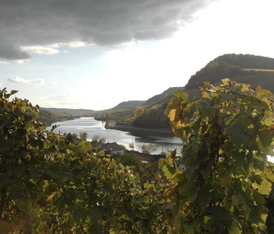 mosel-18, &copy; Deutsch Luxemburgische Tourist Information