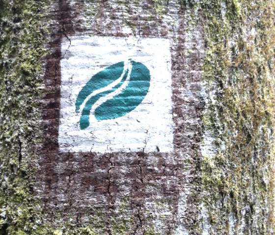 Spr&uuml;hmarkierung auf B&auml;umen, B&auml;nken..., &copy; Region M&uuml;llerthal