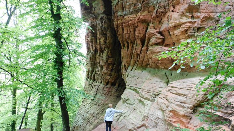An impressive rock wall surrounded by green trees. A person stands near the rock and explores nature.