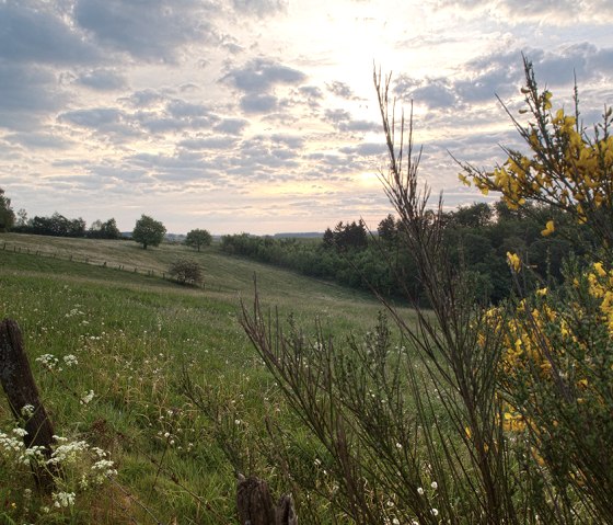 Sentier de ruisseau, paysage de prairie, &copy; Naturpark S&uuml;deifel, V. Teuschler