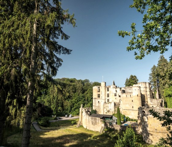 Ruines du château de Beaufort au Felsenweg 2, © Eifel Toursimus GmbH, D. Ketz