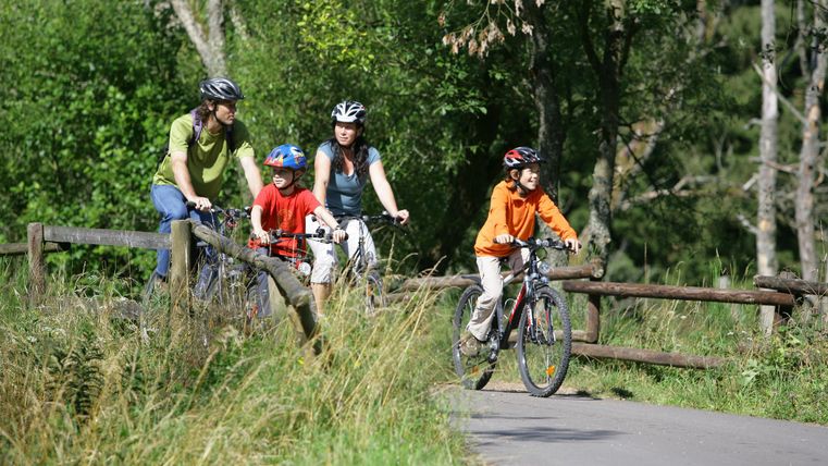 Eine Gruppe von vier Radfahrern fährt auf einem ruhigen Weg durch die Natur. Im Hintergrund sind Bäume und grünes Gras zu sehen.