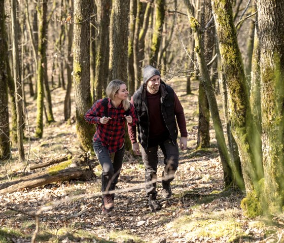 Wandel door rustieke bossen tijdens een wandeling over de Nat'Our Route 1, © Eifel Tourismus GmbH, D. Ketz