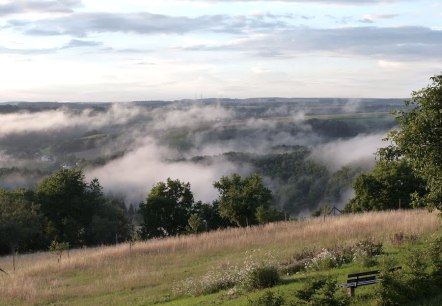 Vue panoramique d'un paysage vert avec du brouillard. Au premier plan, un banc, &agrave; l'arri&egrave;re-plan, des collines et des arbres sous un ciel nuageux., &copy; Eifelverein Ortsgruppe Speicher