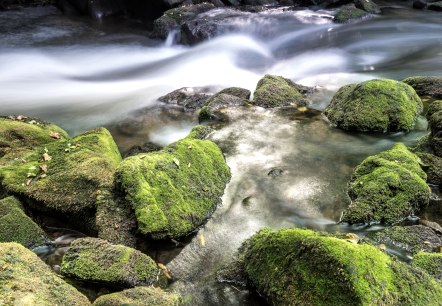 Wasser und Fels, © Rheinland-Pfalz Tourismus, D. Ketz