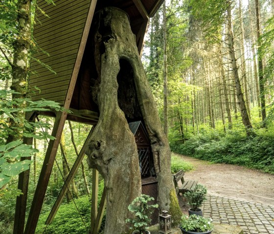 Schwarzbildchen, © Eifel Tourismus GmbH / Dominik Ketz