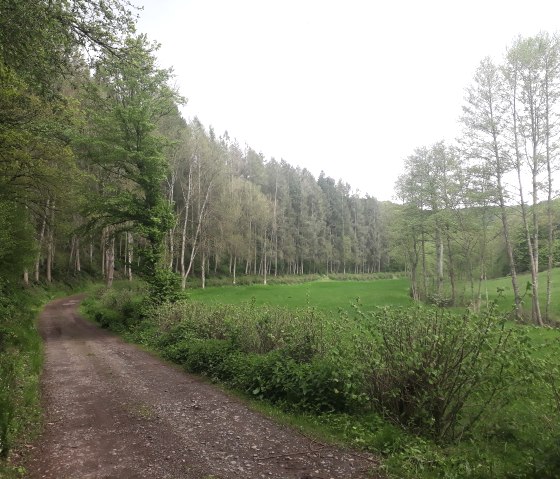 Ein idyllisches T&auml;lchen f&uuml;hrt wieder zur&uuml;ck nach Gentingen., &copy; Felsenland S&uuml;deifel Tourismus, Natalie Mainz