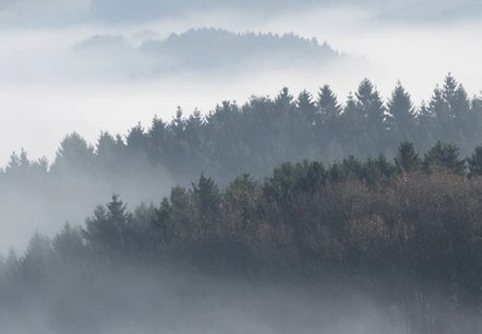 Vue sur la vall&eacute;e d'Irsen