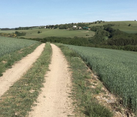 t_4, &copy; Manuel Norta, Ammeldingen