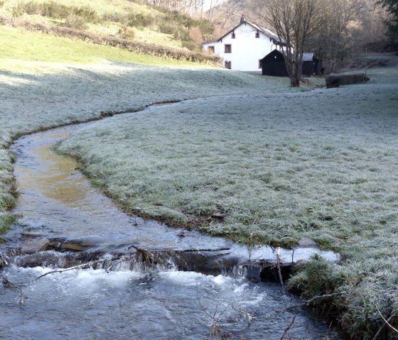 Moulin de Steinkaul sur le M&uuml;hlbach pr&egrave;s de Dahnen, &copy; Tourist-Information Islek
