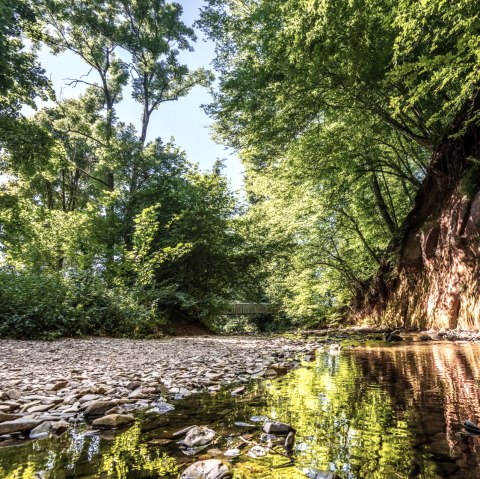 Vue sur la paroi de grès bigarré Roter Puhl, © Eifel Tourismus GmbH, D. Ketz