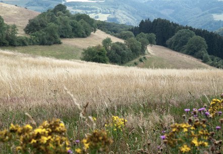 Natuurbelevenis in de buurt van Pl&uuml;tscheid, &copy; Volker Teuschler