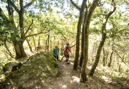 Zwei Wanderer auf einem schmalen, bewaldeten Pfad im L&auml;tgesberg. Die Sonne scheint durch die B&auml;ume und beleuchtet den moosbedeckten Boden., &copy; Eifel Tourismus GmbH, D. Ketz