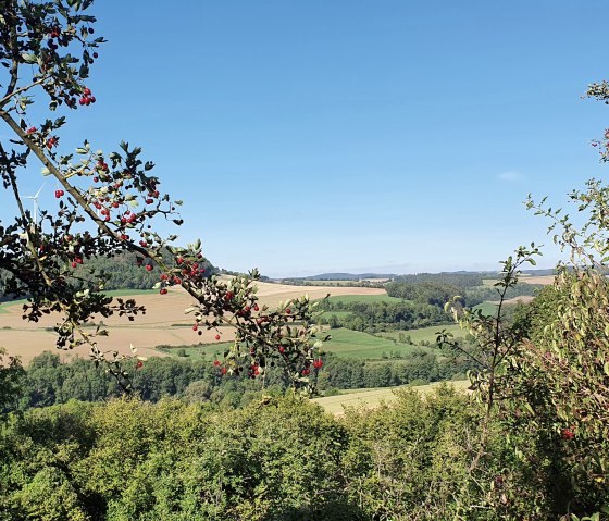 Panoramisch uitzicht op de Enz vallei met groene velden, bomen en rode bessen op de voorgrond onder een helderblauwe hemel., &copy; TI BItburger Land - Steffi Wagner