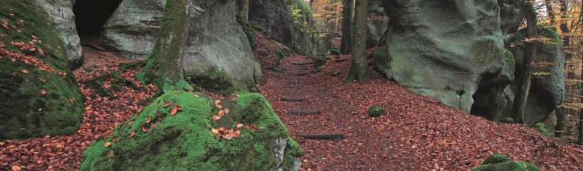 Wanderwege durch Felsen im Naturwanderpark delux, © Naturpark Südeifel, Ch. Schleder