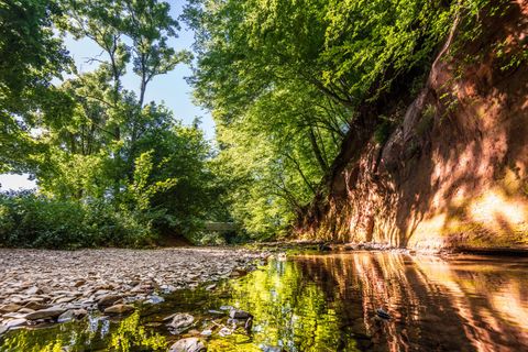 Vue sur une paroi de grès bigarré avec des arbres et un petit ruisseau au premier plan.