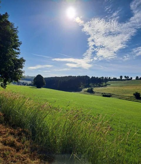 Een uitgestrekt weidelandschap onder een heldere blauwe lucht. De zon straalt fel en er zijn enkele wolken zichtbaar.