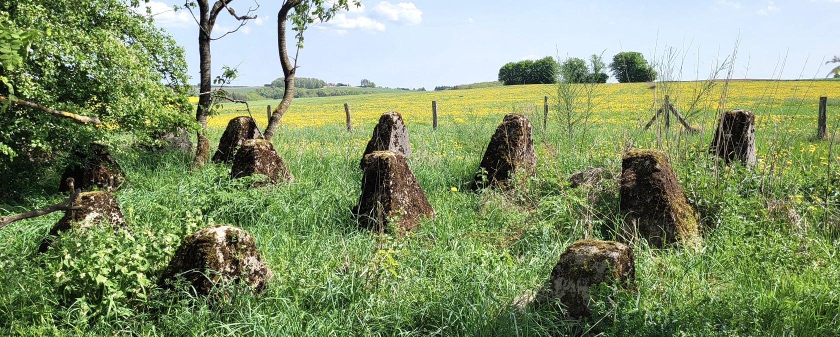 Westwall Wanderweg TI Islek_Flyer, &copy; TI Islek