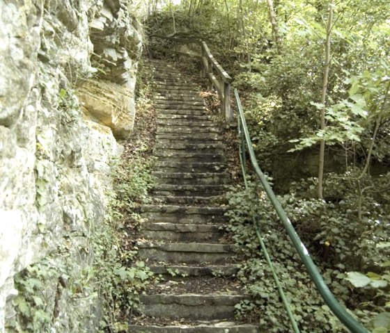 Escalier dans la forêt
