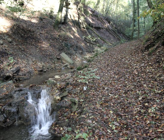 Natuurpark Zuid-Eifel 70, &copy; Reinhold Hansen
