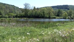 Stausee Irsental, © Tourist-Info Islek, Ingrid Wirtzfeld