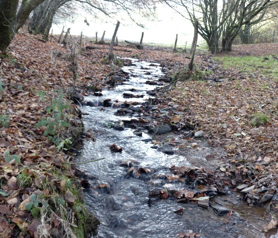 M&uuml;hlbach, &copy; Tourist-Information Islek