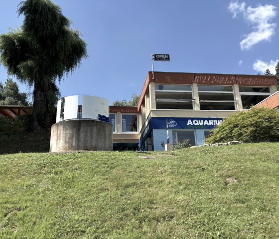 Aquarium 1, &copy; Deutsch-Luxemburgische Tourist Info