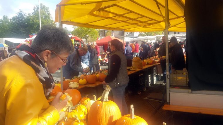 Een drukke markt met veel pompoenen onder een gele tent. Mensen slenteren tussen de kraampjes en kiezen verse groenten uit.