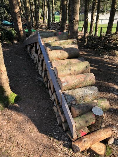 A pile of wood with a sloping ramp in a wooded area. The surroundings are green with trees and offer a natural atmosphere.