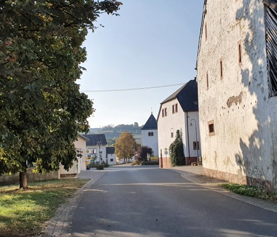 De straat in Brecht, omzoomd met bomen en oude gebouwen, leidt naar het centrum van het dorp. De zon werpt lange schaduwen op de straat., &copy; TI Bitburger Land, Steffi Wagner