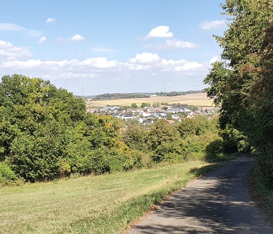Ein Wanderweg f&uuml;hrt durch gr&uuml;ne B&auml;ume und Wiesen, mit Blick auf das Dorf Meckel im Hintergrund unter blauem Himmel., &copy; TI Bitburger Land - Steffi Wagner