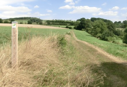 Plakette im Naturwanderpark, © Eifel Tourismus