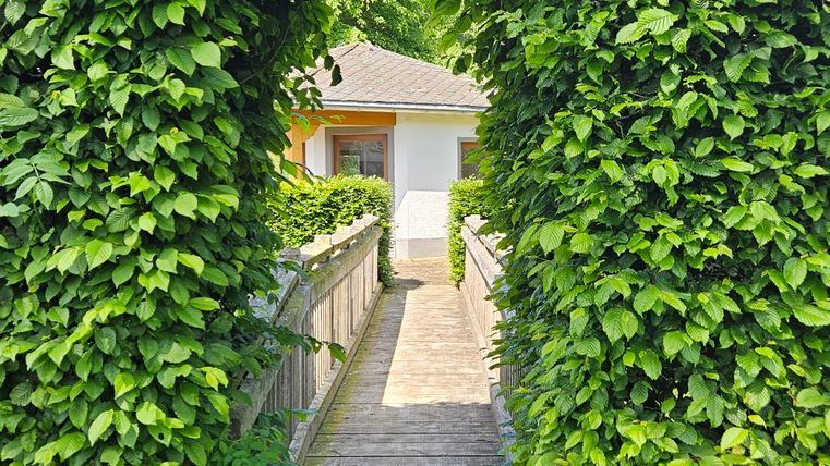 Un passage en arc fait dehaies végétales vertes mène à une passerelle en bois. À l'arrière-plan, un bâtiment lumineux est visible.