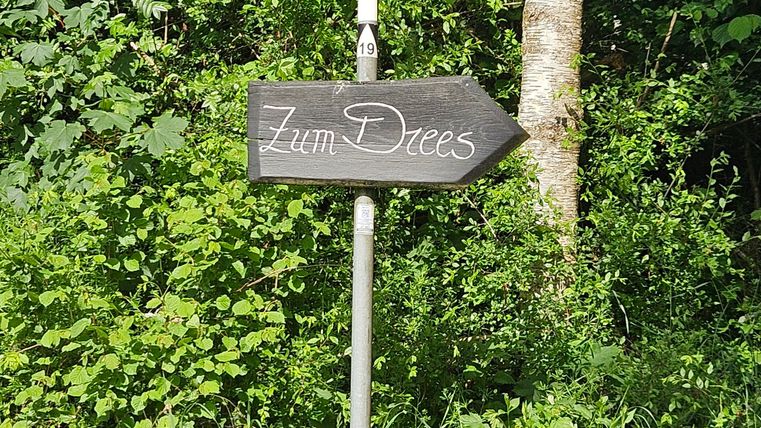 A sign points to the left and indicates "To Dreies." The surroundings are filled with green plants and trees.