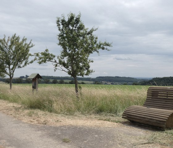 Een geasfalteerd pad leidt langs een weiland met bomen. Er staat een houten bank aan de rand van het pad, met heuvels op de achtergrond., &copy; TI Bitburger Land