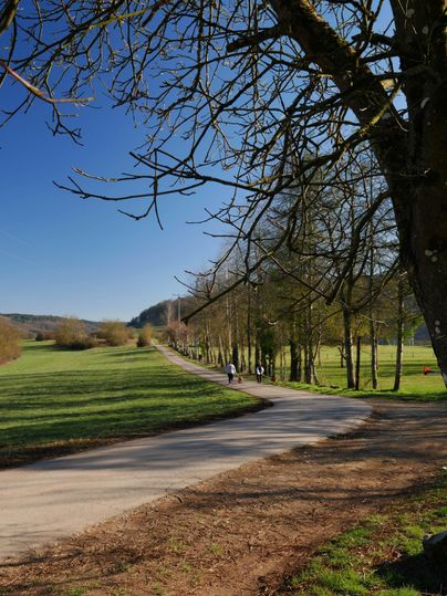 Un chemin pittoresque, entouré d'arbres et de prairies verdoyantes. Le ciel clair en arrière-plan crée une atmosphère agréable.