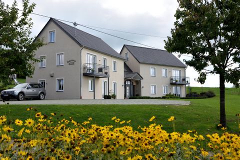 A modern house with two entrances and a car in front of it. In the foreground, yellow flowers bloom on a green meadow.