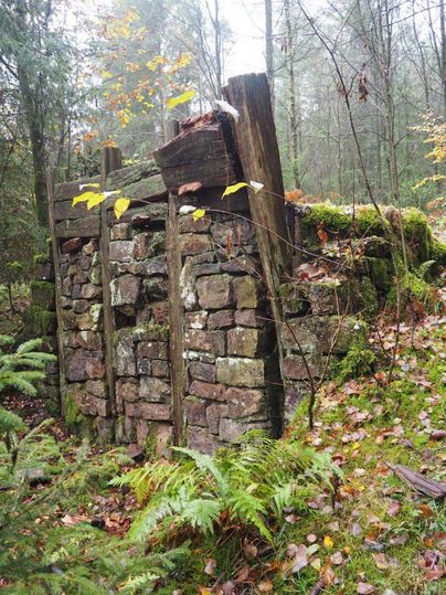 Keltischer Ringwall