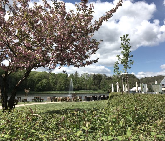 Lac de barrage de Bitburg - D&eacute;but de la randonn&eacute;e, &copy; TI Bitburger Land