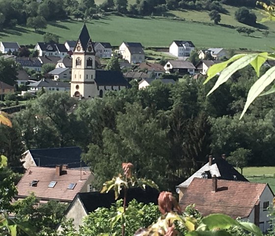 Dorfansicht mit Kirche im Zentrum, umgeben von H&auml;usern und gr&uuml;nen H&uuml;geln. Im Vordergrund sind Pflanzen zu sehen., &copy; TI Bitburger Land