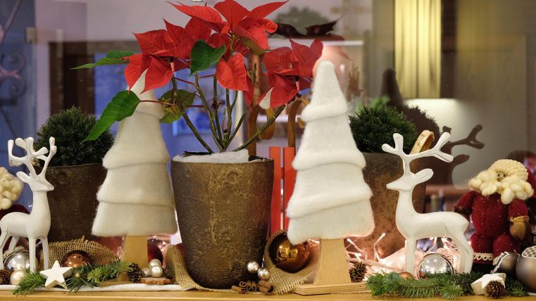 A festive decoration with red poinsettias and stylized Christmas trees. It also includes deer and Christmas ornaments on a table.