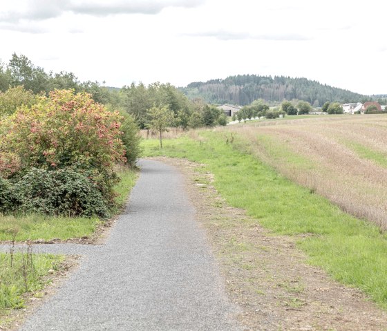 Komfortweg Daleiden, &copy; Naturpark S&uuml;deifel/Thomas Urbany