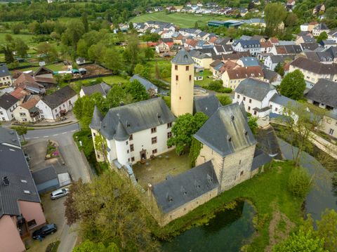 Een indrukwekkend kasteel met een hoge toren, omringd door groene bomen en een waterloop. Op de achtergrond zijn kleine huizen en landelijke landschappen te zien.