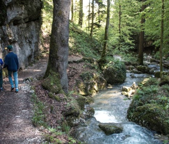 Familienwanderung an romantischeBachläufen entlang
