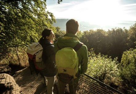 Twee wandelaars met rugzakken staan bij een reling en kijken uit over het zonnige, bosrijke landschap., &copy; Dominik Ketz