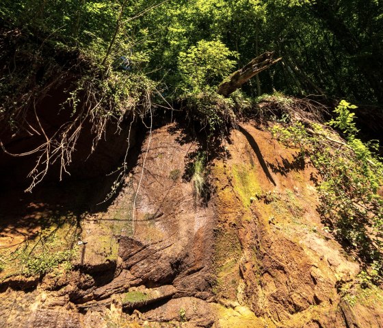 Mur de gr&egrave;s bigarr&eacute; Roter Puhl, &copy; Eifel Tourismus GmbH, D. Ketz