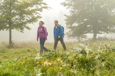 Des randonneurs marchent à travers un paysage brumeux et verdoyant. Des fleurs colorées et des arbres les entourent.