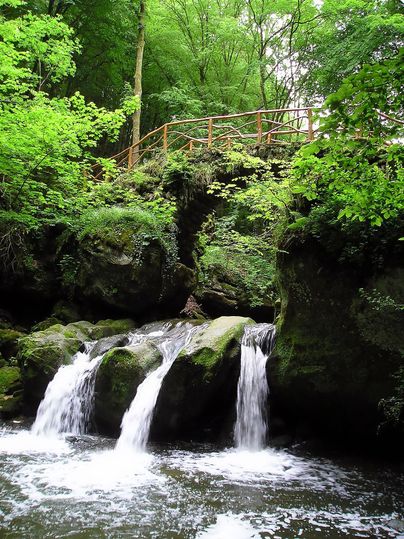 A beautiful waterfall flows over moss-covered rocks. Surrounded by lush, green forest and a wooden walkway.