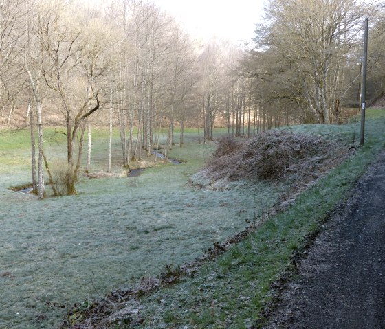 Chemin de randonn&eacute;e n&deg; 2 et 4 le long du M&uuml;hlbach, &copy; Tourist-Information Islek